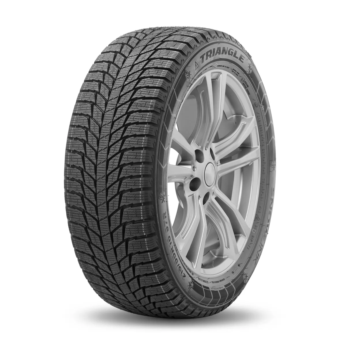 255/50 R19 Triangle PL01 107R 
