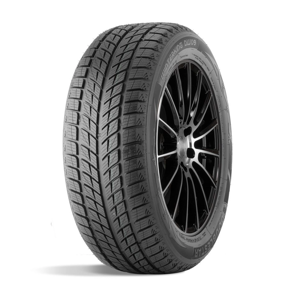 275/45 R20 DOUBLESTAR DW09 110H 