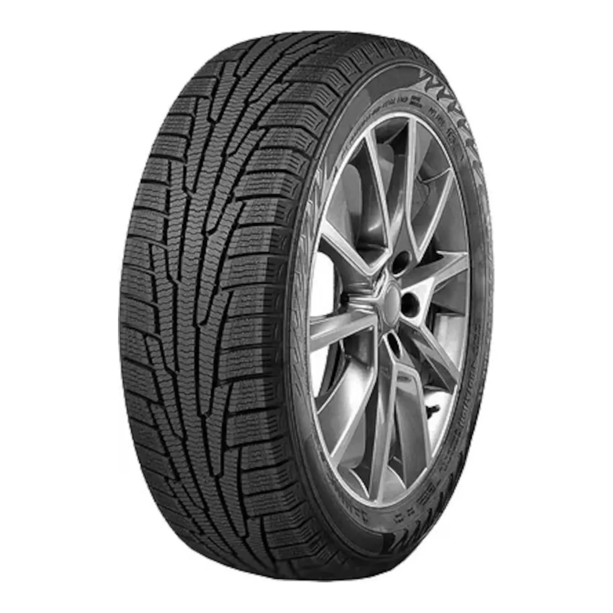 225/55 R19 Ikon Tyres Ikon Character Snow 2 SUV 103T 