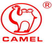 70 Ah 12V CAMEL R+ EFB 720A (L3)