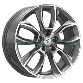 КР001 (Kodiaq)
