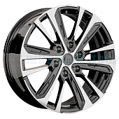 LS FG19